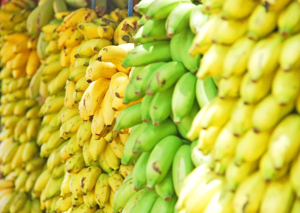 Bananas - header