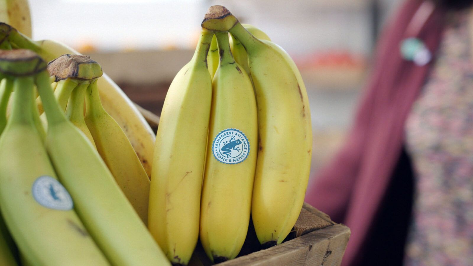 Rainforest Alliance Certified seal on bananas